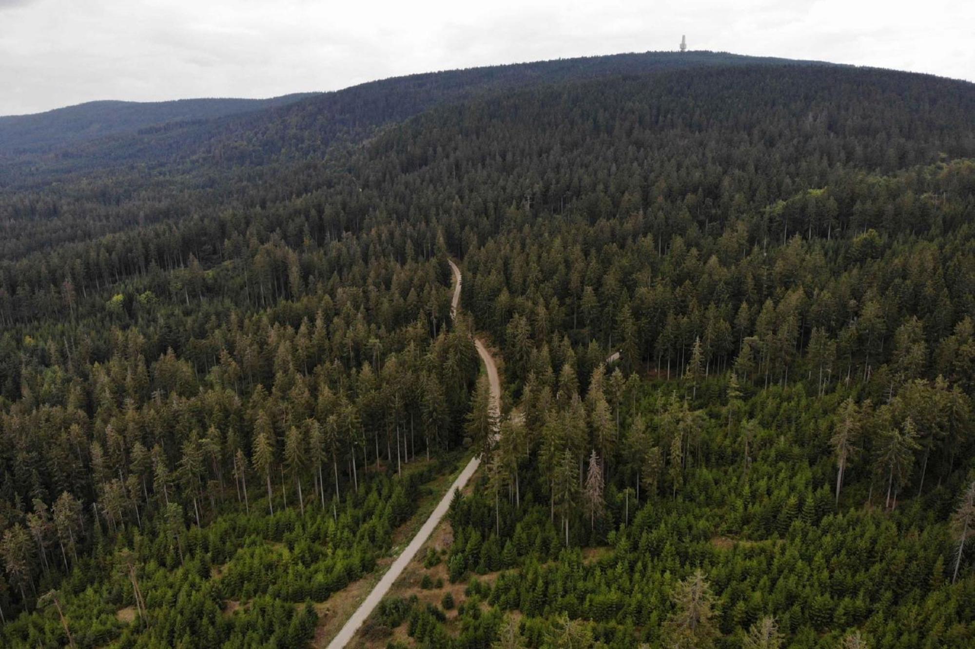 Panoramaapartment Am Ochsenkopf Bischofsgrün Exteriér fotografie